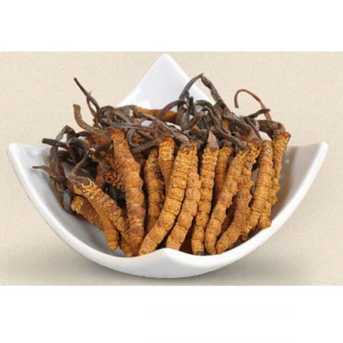 thao-duoc-teresa-herbs-dong-trung-ha-thao-2