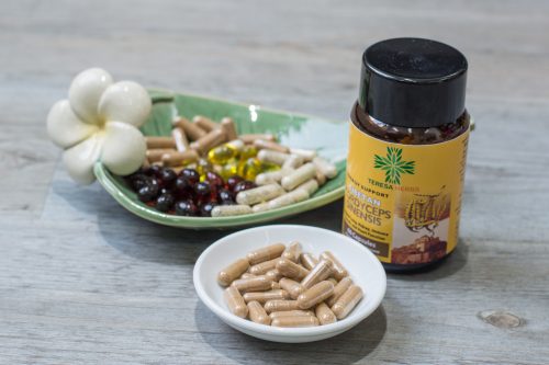 thao-duoc-teresa-herbs-dong-trung-ha-thao-6