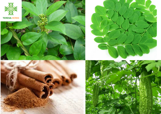 thao-duoc-teresa-herbs-trai-kho-qua-cay-chum-ngay-vo-que