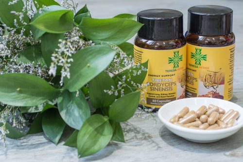 thao-duoc-teresa-herbs-dong-trung-ha-thao