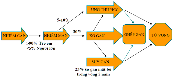 thao-duoc-teresa-herbs-tien-trien-cua-benh-viem-gan-b
