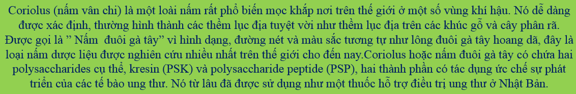 lợi ích của nấm vân chi đối với bệnh nhân ung thư