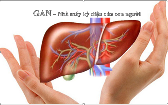 gan-anh-huong-giac-ngu-nhu-the-nao