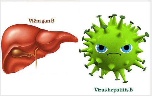 thao-duoc-teresa-herbs-viem-gan-b