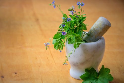 duoc-thao-teresa-herbs-nhung-dieu-gay-hai-cho-gan