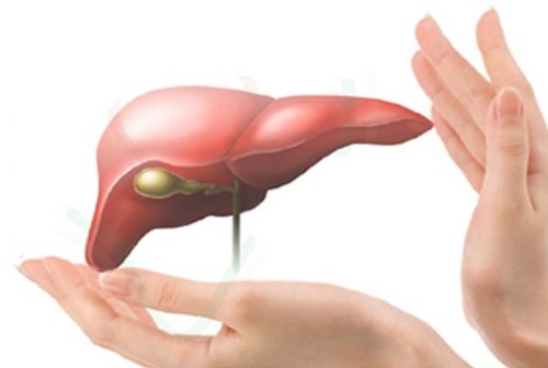 Những điều gây hại cho gan bạn không ngờ đến