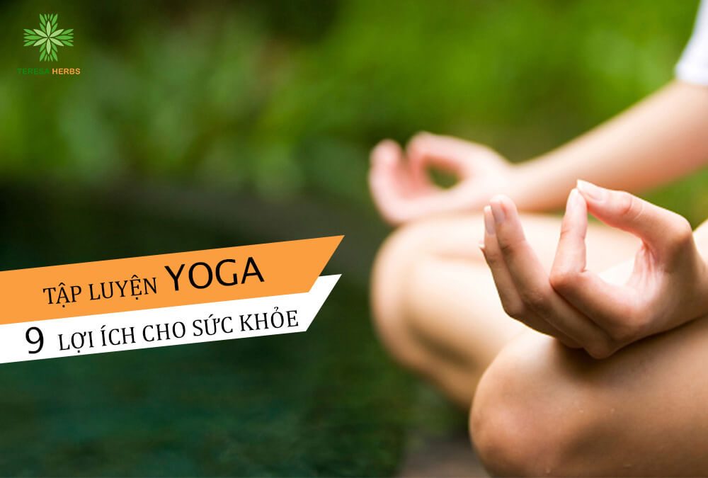 9 Lợi ích của tập luyện Yoga đối với cơ thể