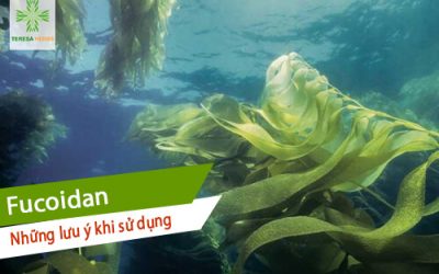 lưu ý khi sử dụng fucoidan