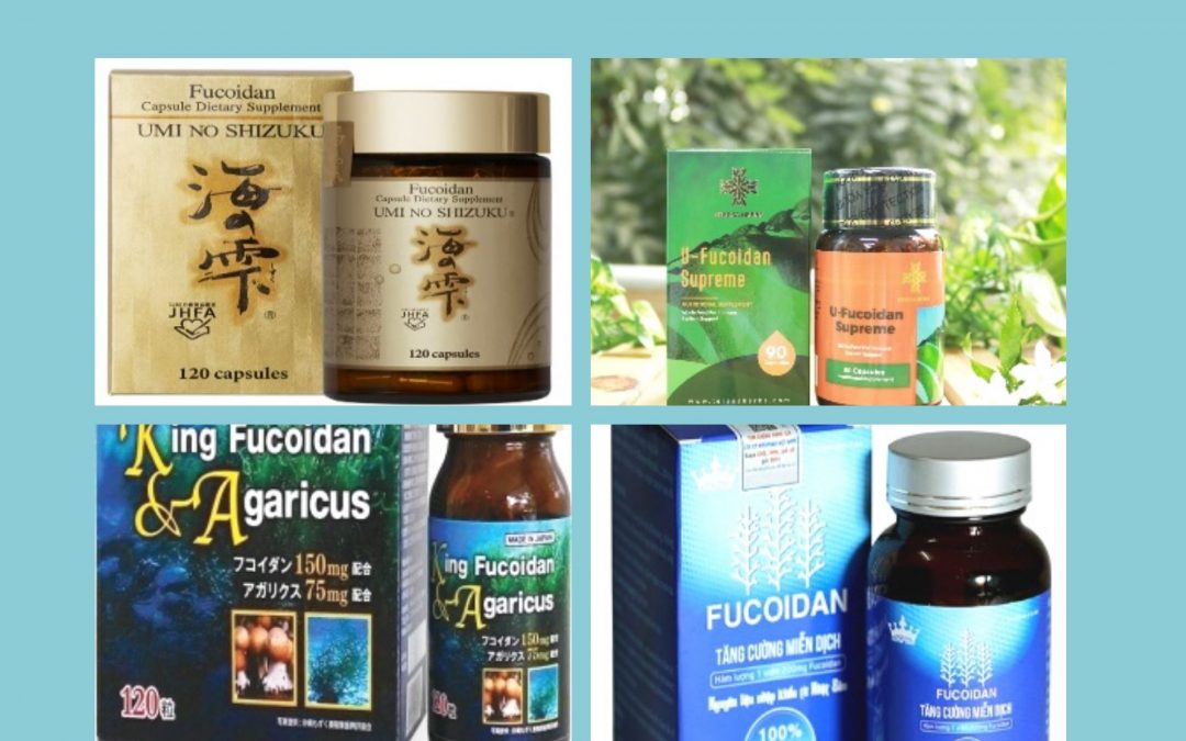 Fucoidan là gì? Tác dụng của Fucoidan, so sánh Fucoidan Mỹ và Fucoidan Nhật Bản