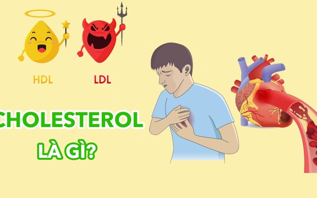 Cholesterol là gì? Có ảnh hưởng gì đến cuộc sống?