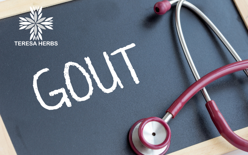 (Tiếng Việt) Bệnh Gout: Tăng axit uric gây ra và cách điều trị hiệu quả
