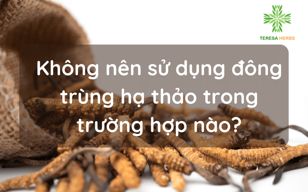 (Tiếng Việt) Không nên sử dụng đông trùng hạ thảo trong trường hợp nào?