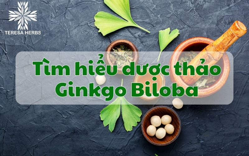 Ginkgo Biloba: 5 Lợi ích, An toàn và Liều lượng