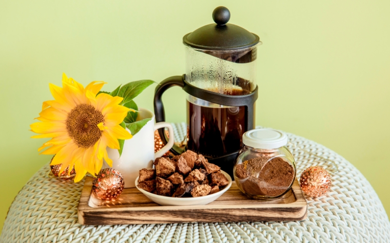 Trà nấm chaga