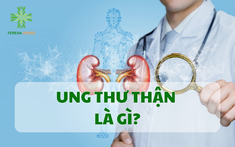 (Tiếng Việt) UNG THƯ THẬN: NGUYÊN NHÂN, TRIỆU CHỨNG, ĐIỀU TRỊ