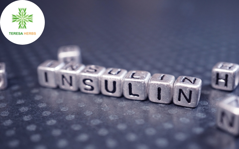 Kháng insulin là giai đoạn đầu tiên trong bệnh tiểu đường loại 2