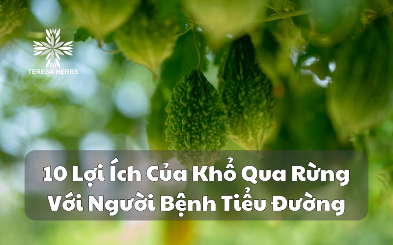 (Tiếng Việt) 10 Lợi Ích Của Khổ Qua Rừng Cho Người Bệnh Tiểu Đường
