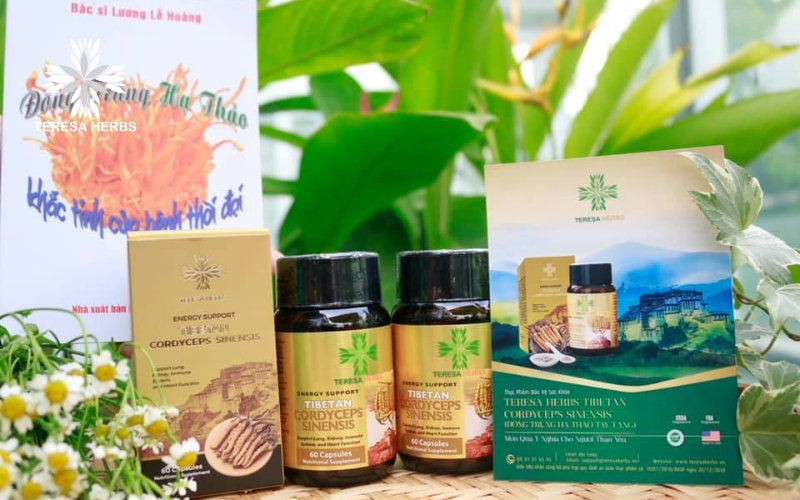 Đông Trùng Hạ Thảo Tây Tạng Teresa Herbs Bảo Vệ Thận