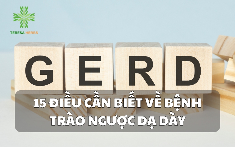 (Tiếng Việt) 15 Điều cần biết về bệnh trào ngược dạ dày: Nguyên nhân, triệu chứng và cách điều trị