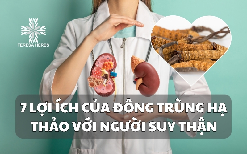 (Tiếng Việt) 7 Lợi ích của đông trùng hạ thảo cho người bệnh suy thận