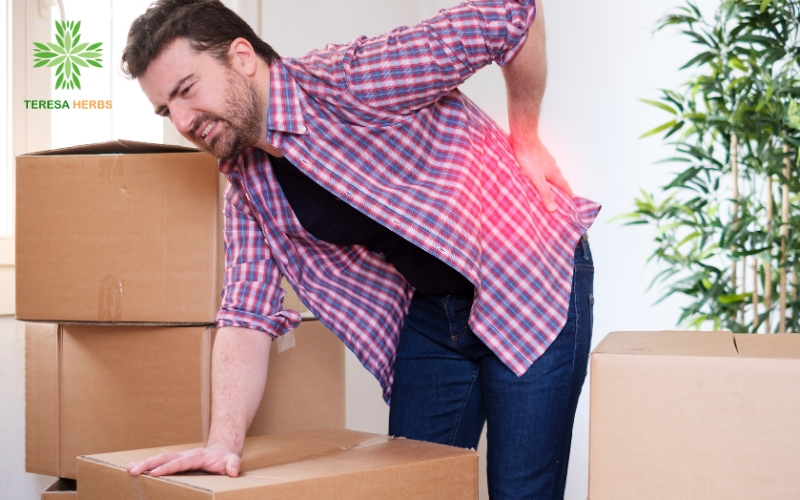 Đau lưng nhiềulà triệu chứng phổ biến nhất của thoát vị đĩa đệm