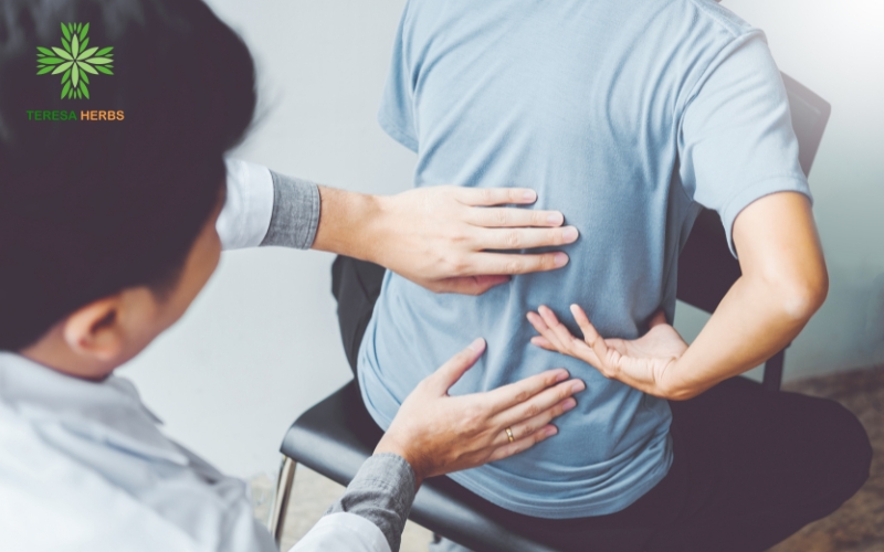 Các bài tập vật lý trị liệu rất có ích cho người bị thoát vị đĩa đệm