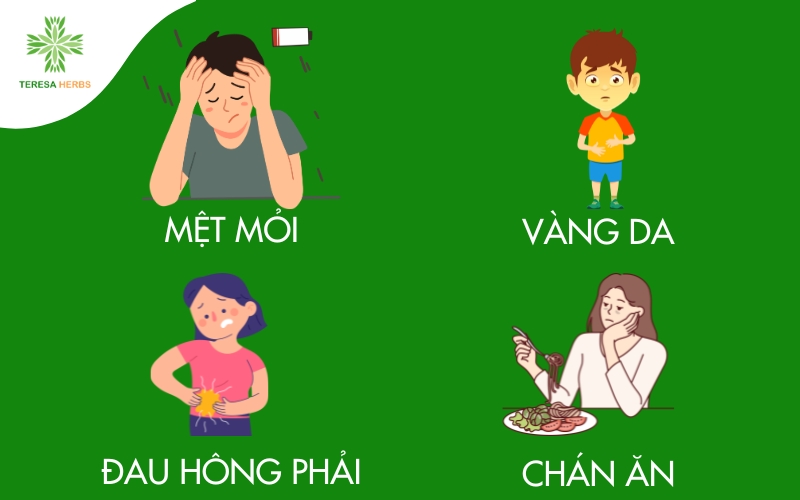 các dấu hiệu cho thấy gan có vấn đề