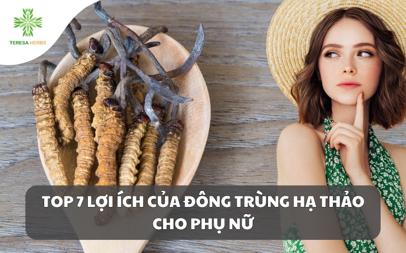 (Tiếng Việt) Top 7 Lợi Ích Của Đông Trùng Hạ Thảo Cho Phụ Nữ Được Khoa Học Chứng Minh