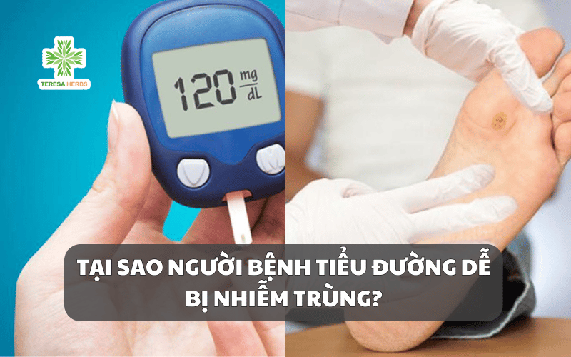 Tại Sao Người Bệnh Tiểu Đường Dễ Bị Nhiễm Trùng?